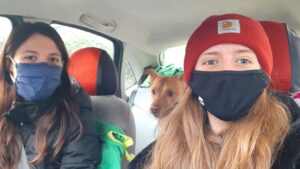 Scopri di più sull'articolo Sabato con Aron 🐶