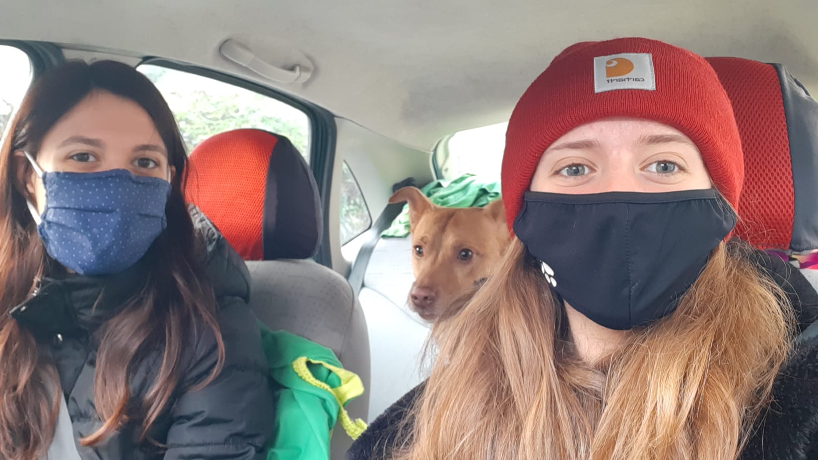 Scopri di più sull'articolo Sabato con Aron 🐶