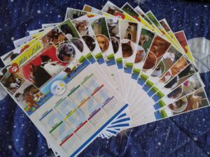 Scopri di più sull'articolo Regali Natalizi per i miei dolcissimi pets… Consegnati! 🐶🐱🐾🎄🎁