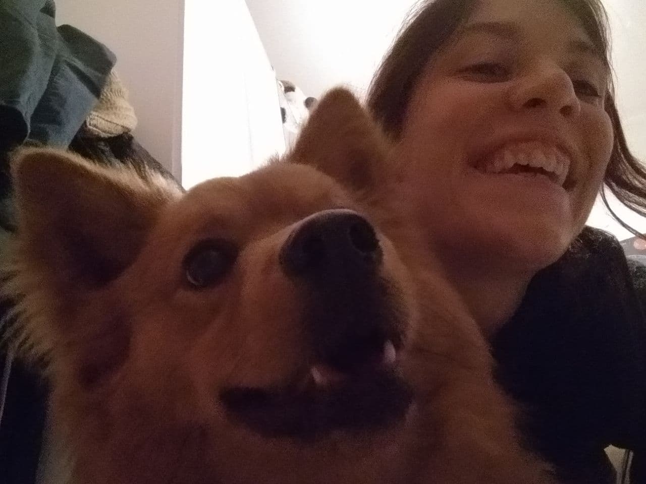 Scopri di più sull'articolo Seratina con Denver 🐶