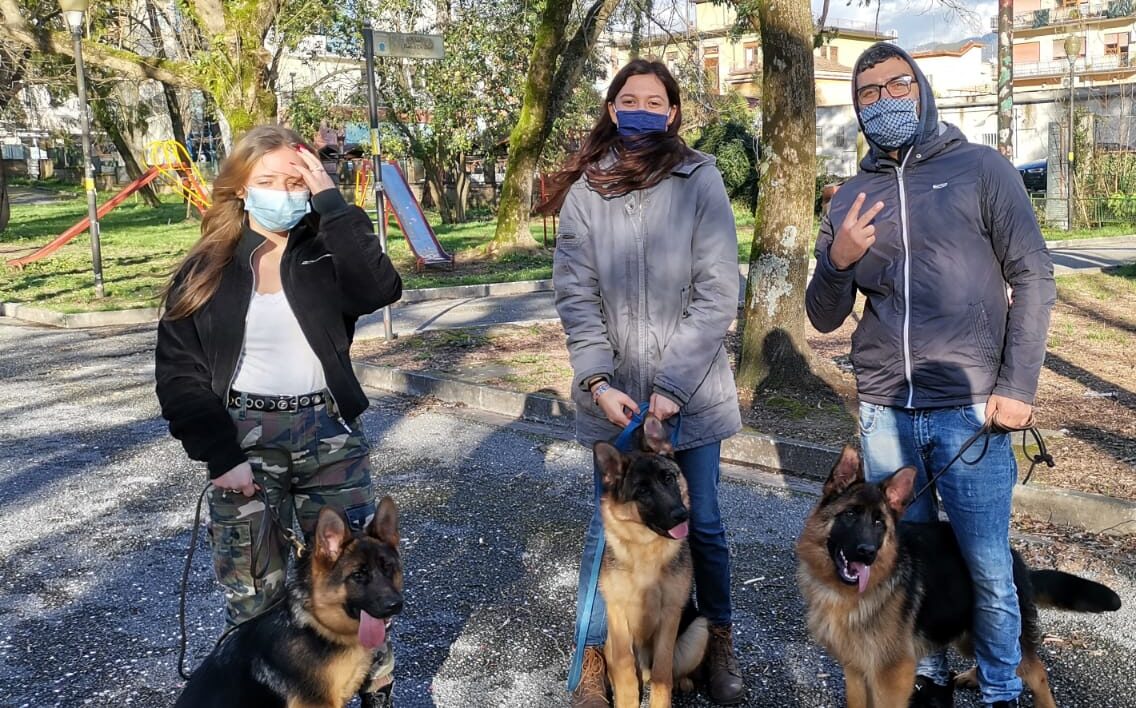 Scopri di più sull'articolo Passeggiata con Rumba, Samba e Rap🐶🐶🐶